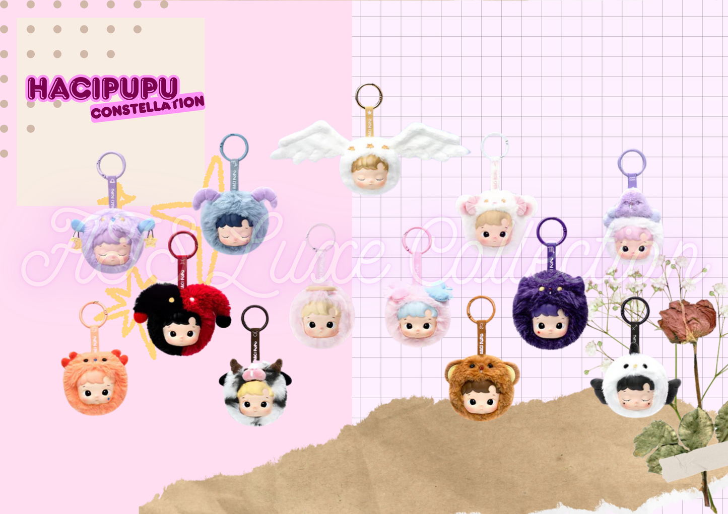 HACIPUPU The Constellation